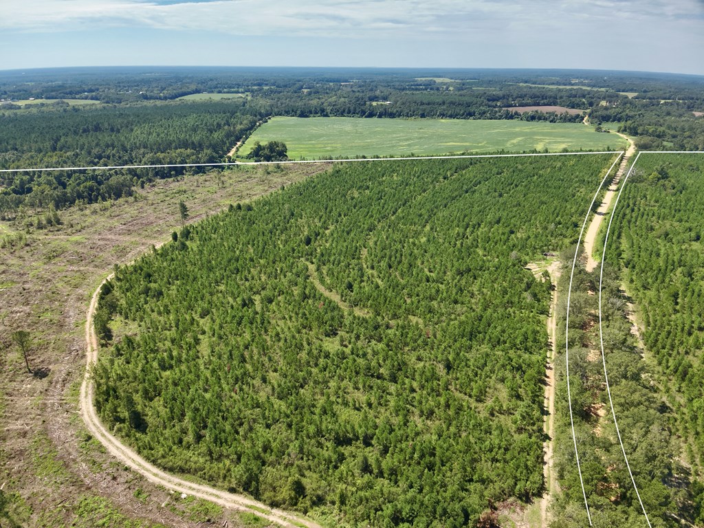 189 Acres Highland Street