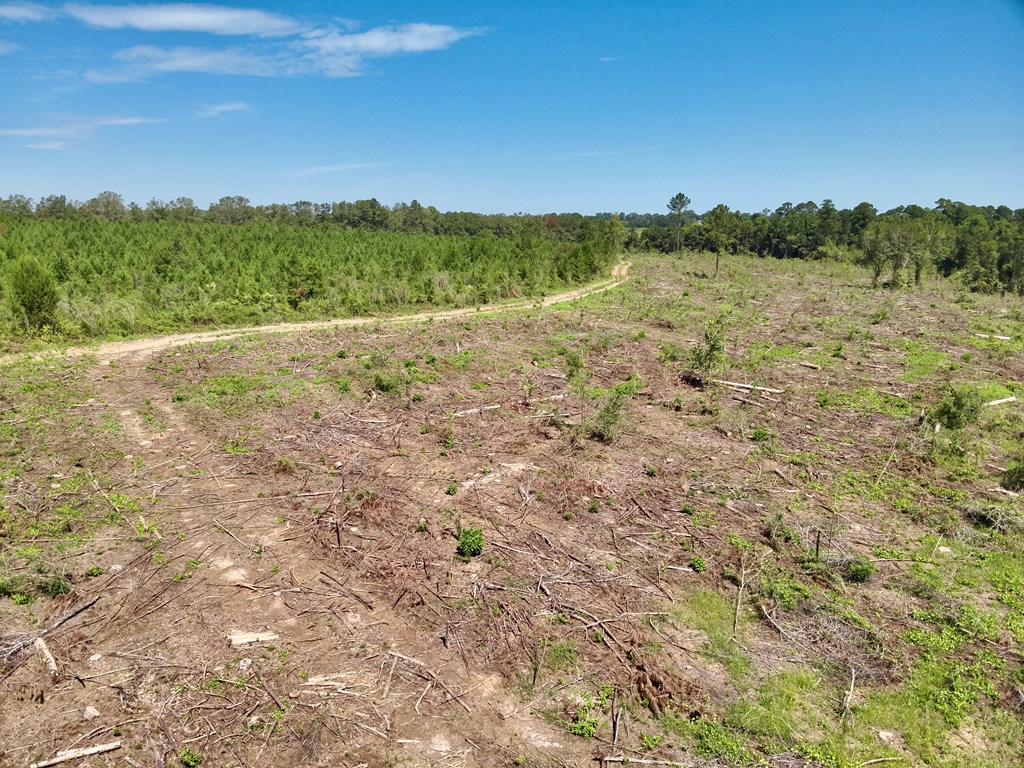 189 Acres Highland Street