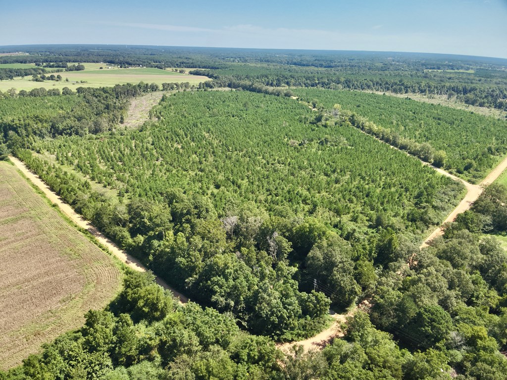 189 Acres Highland Street
