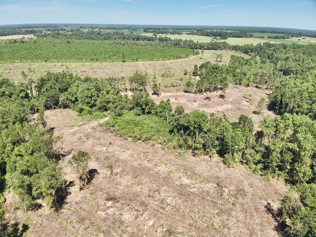 189 Acres Highland Street