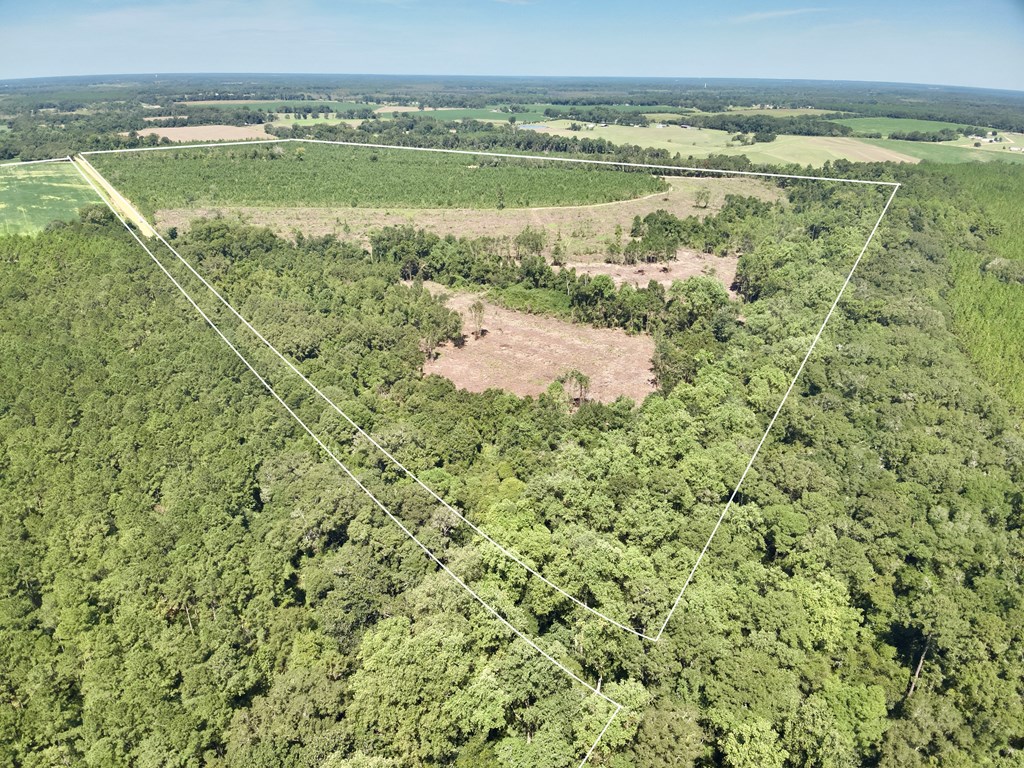 189 Acres Highland Street