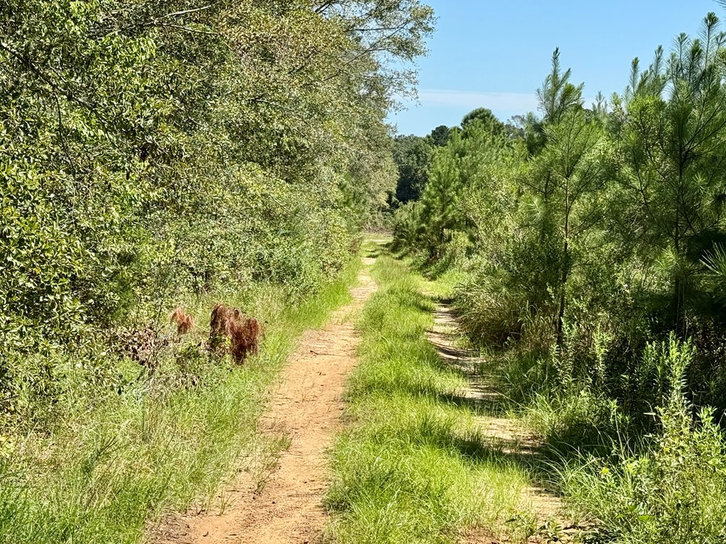 189 Acres Highland Street
