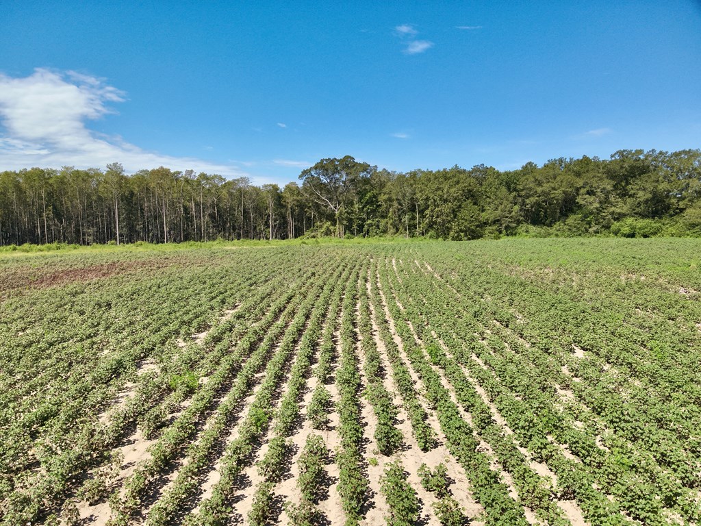 73 Acres Shiver Road