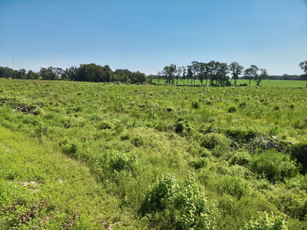 73 Acres Shiver Road