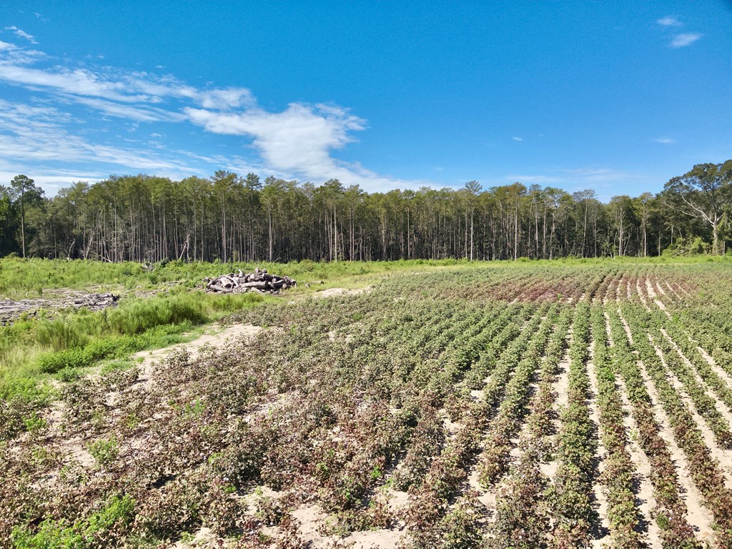 73 Acres Shiver Road