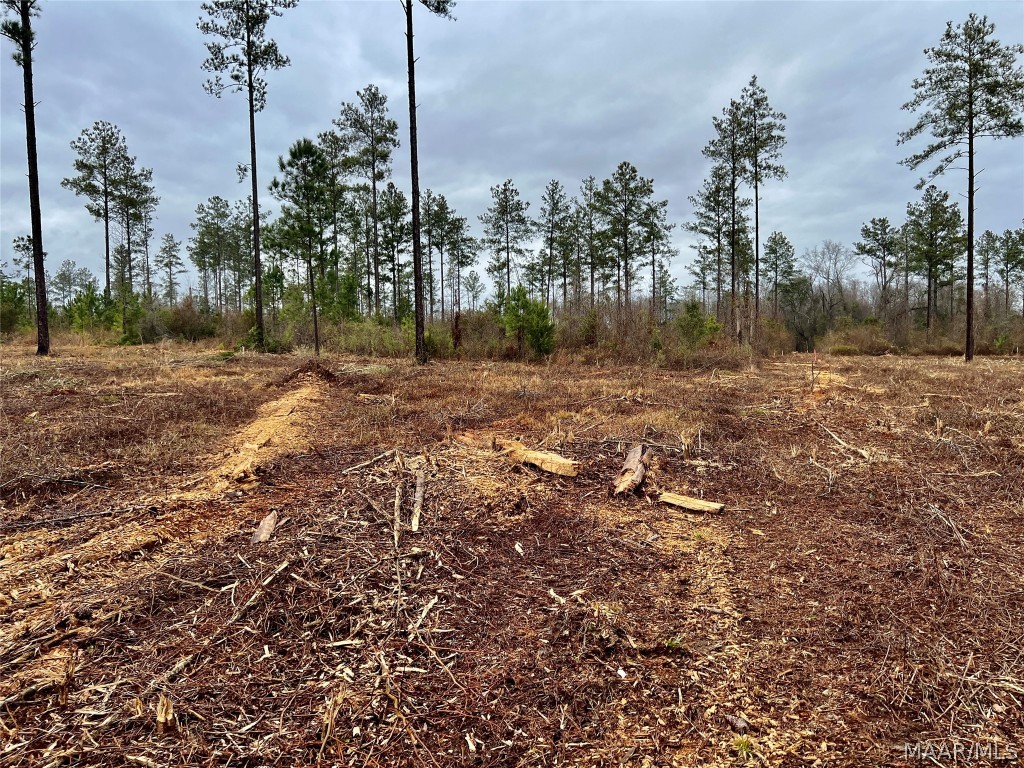 14ac County Road 55 .