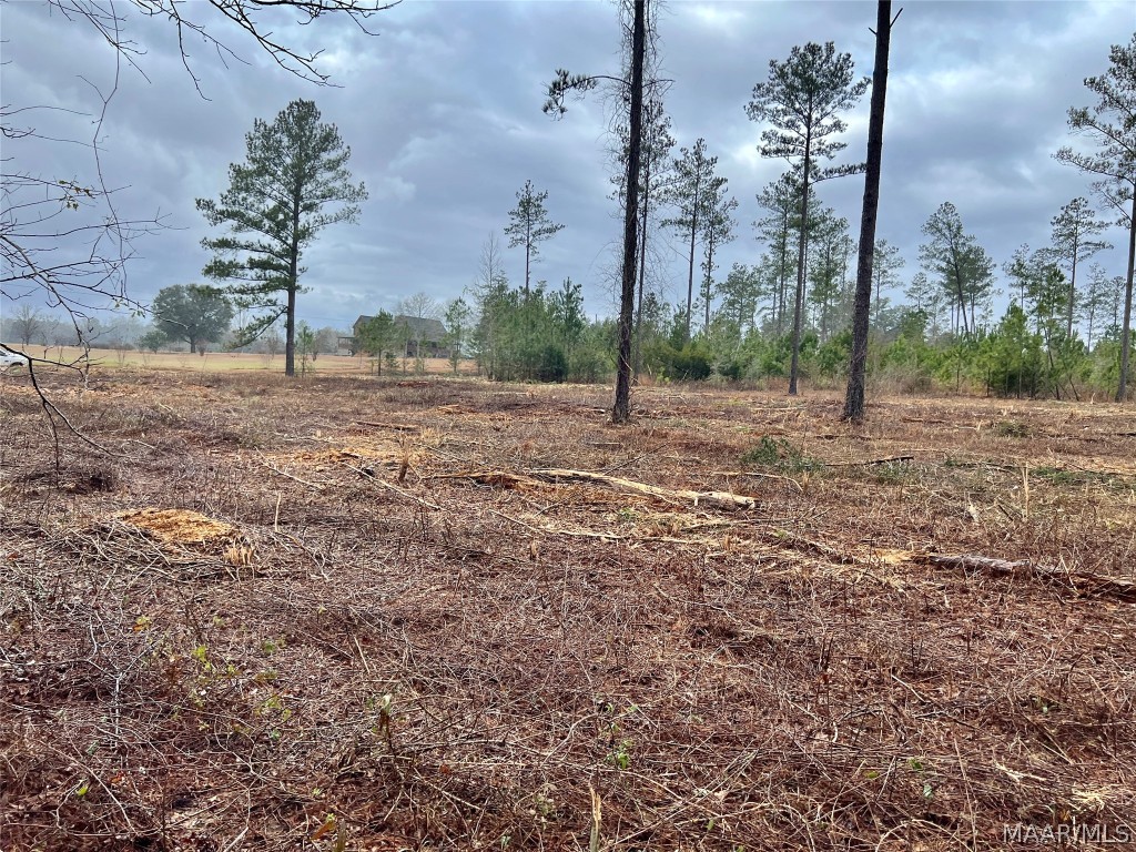 14ac County Road 55 .