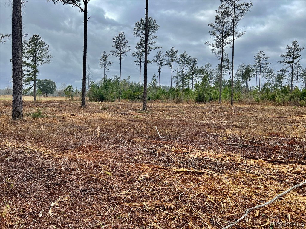 14ac County Road 55 .