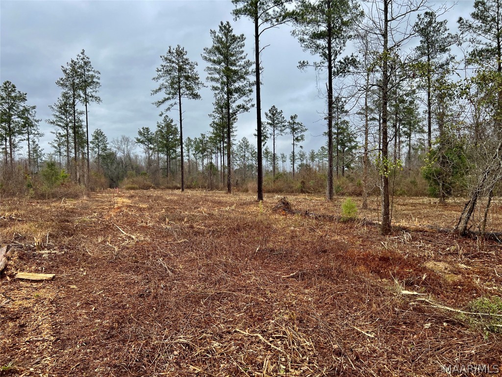 14ac County Road 55 .