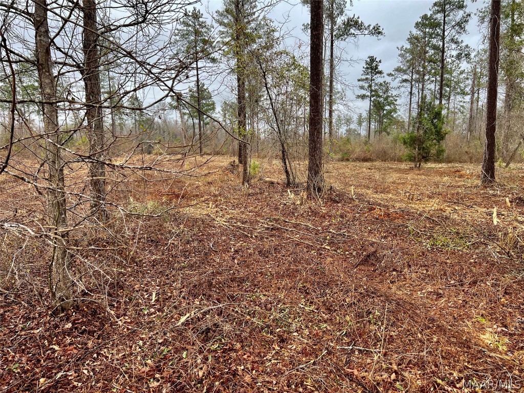 14ac County Road 55 .