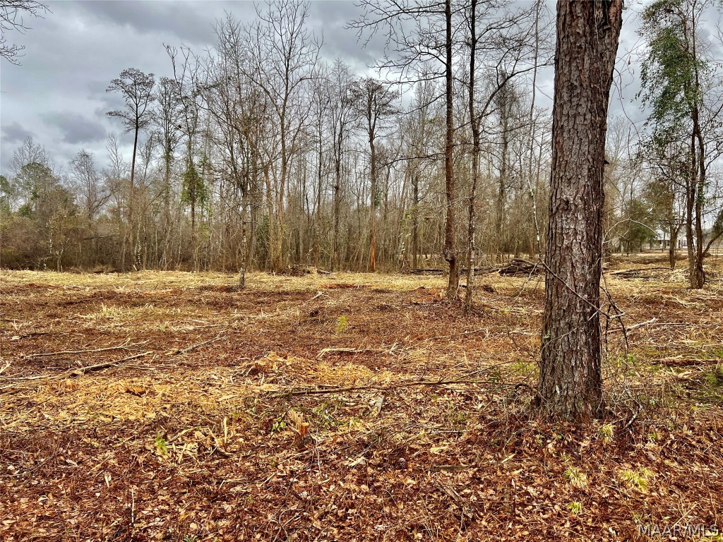 14ac County Road 55 .