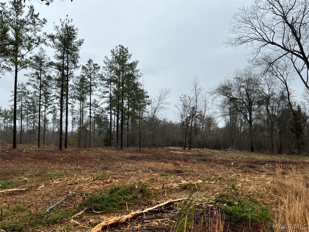 14ac County Road 55 .