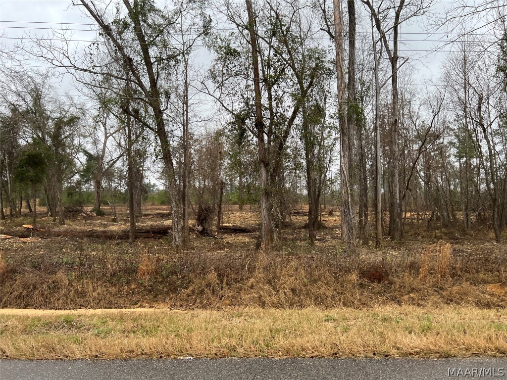 14ac County Road 55 .