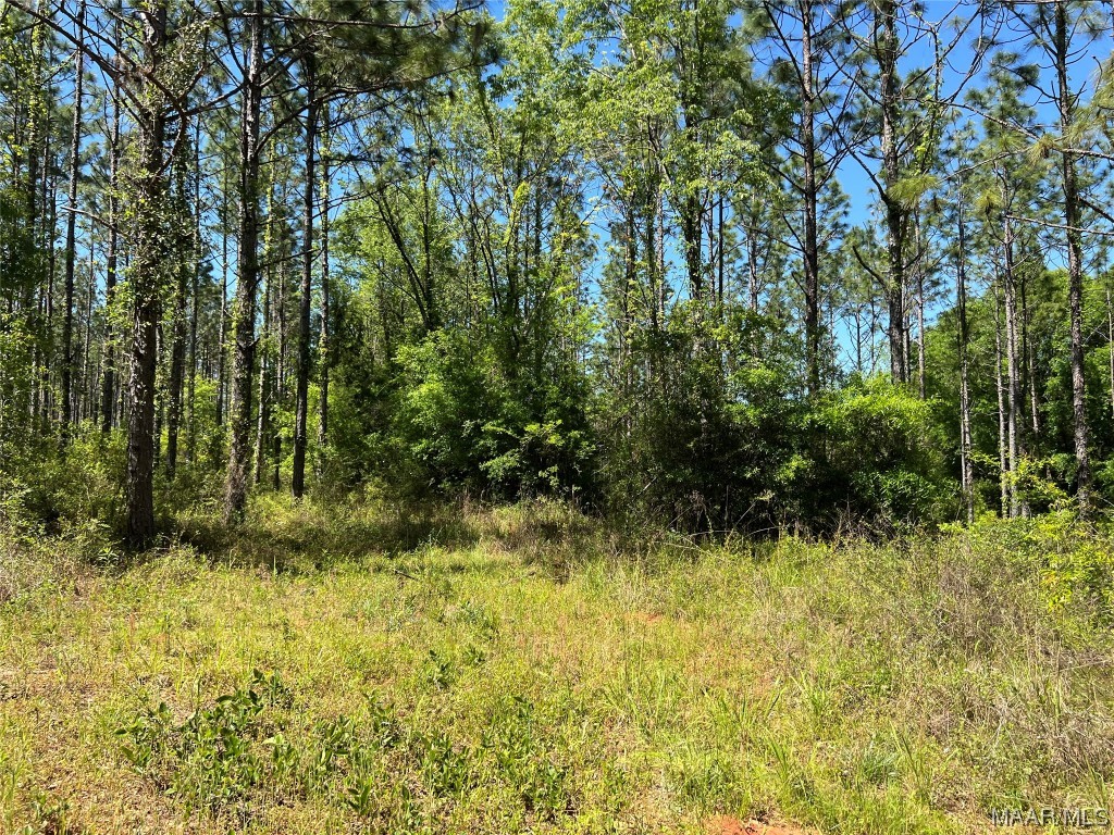 23.79 County Road 41 .