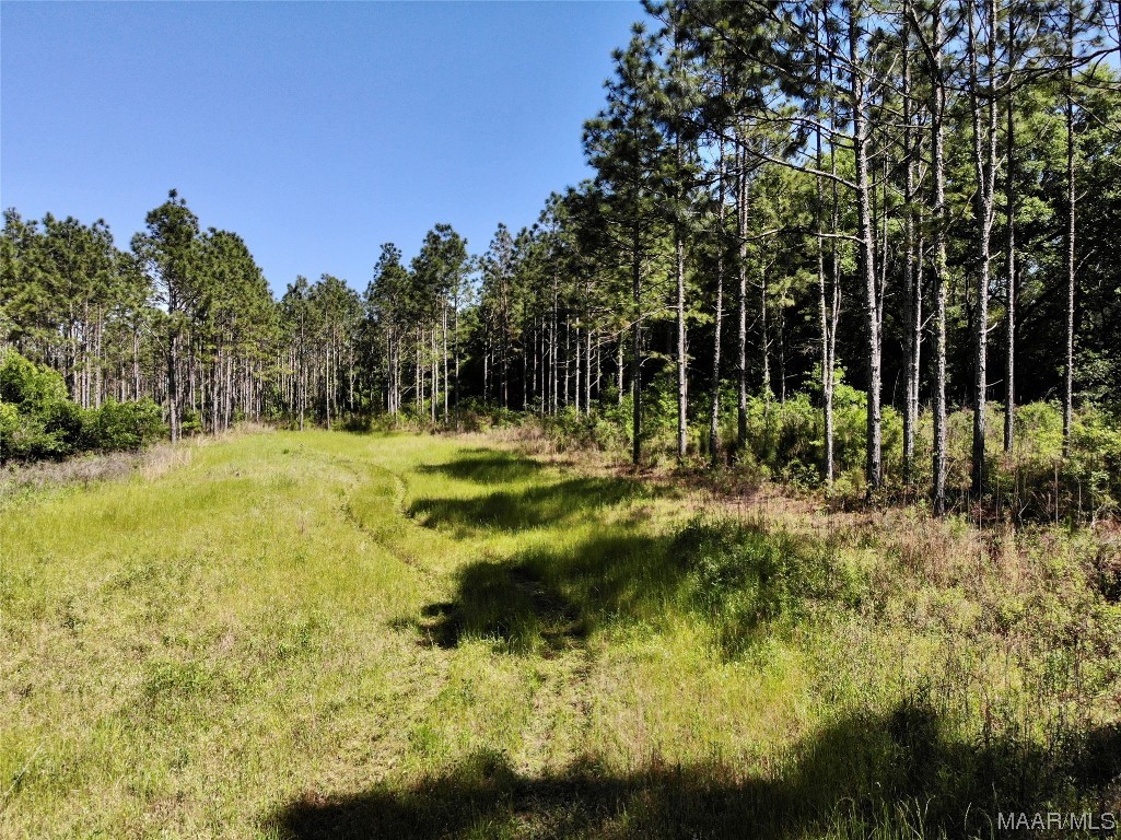 23.79 County Road 41 .