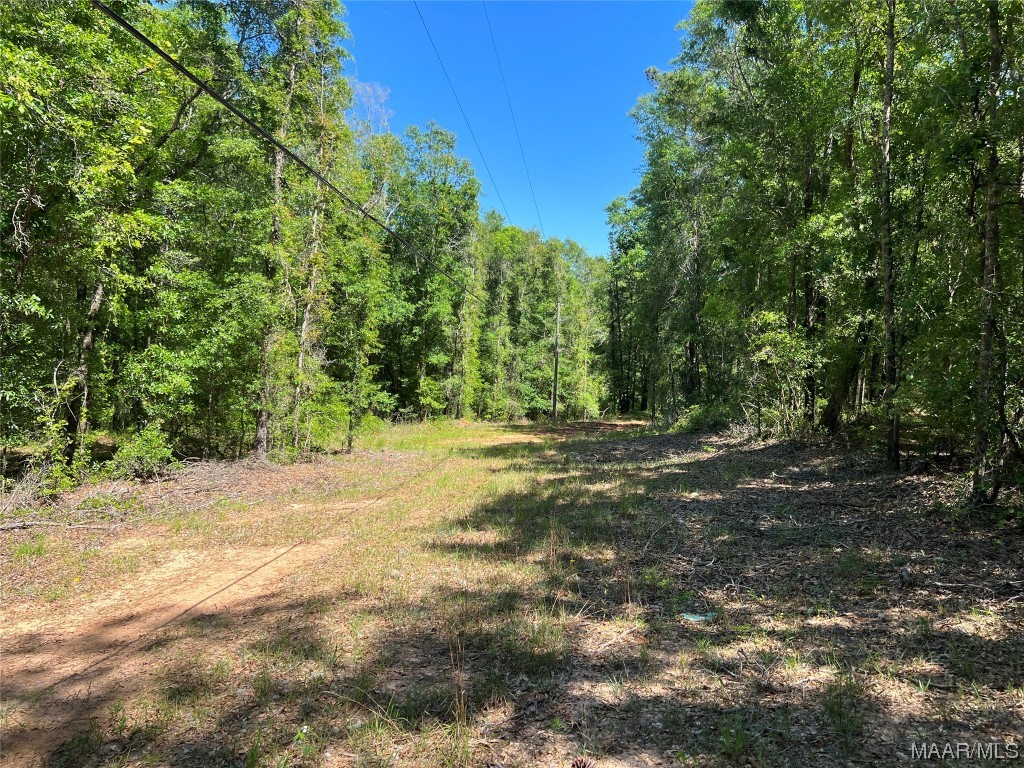 23.79 County Road 41 .