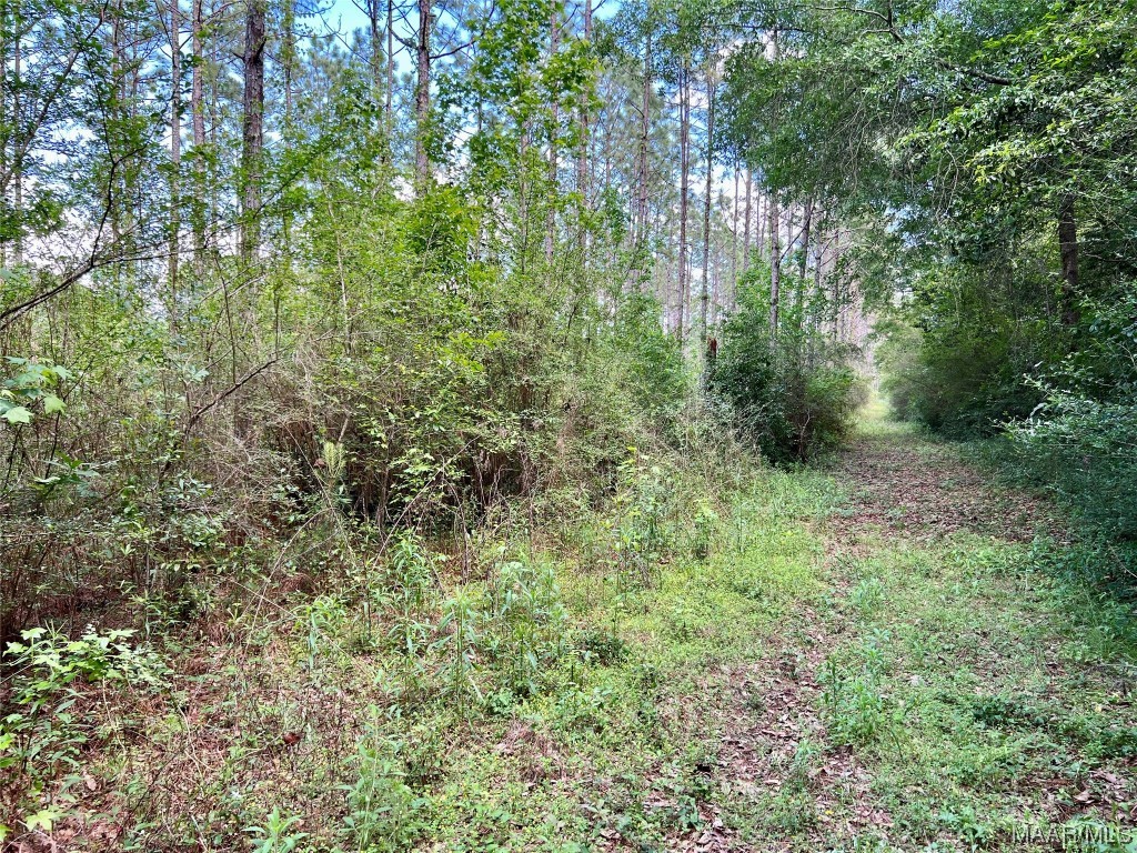 23.79 County Road 41 .