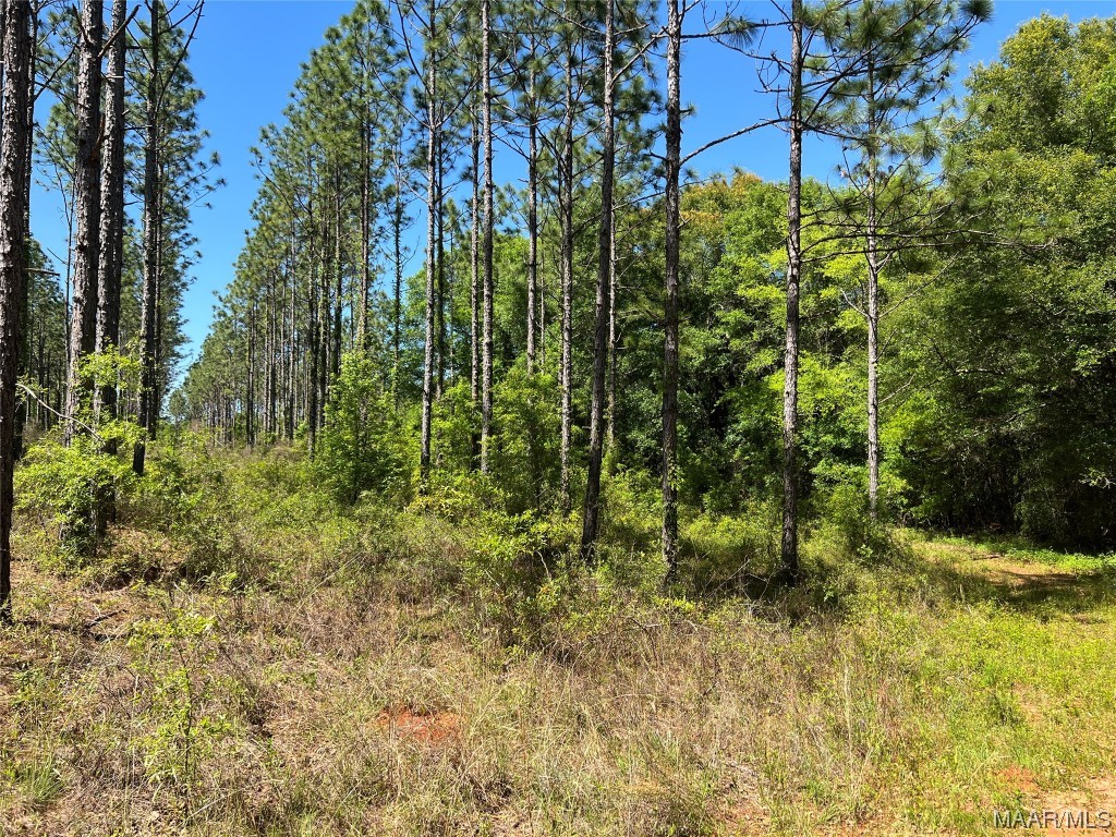 23.79 County Road 41 .