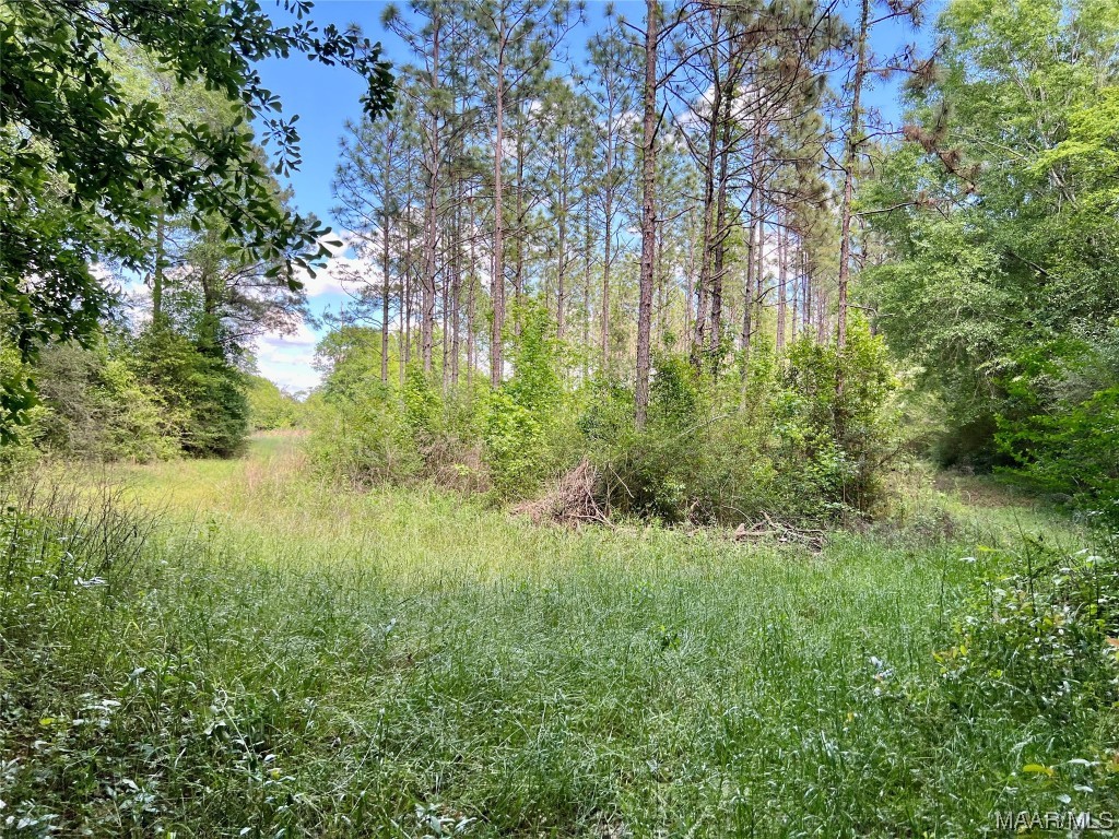 23.79 County Road 41 .