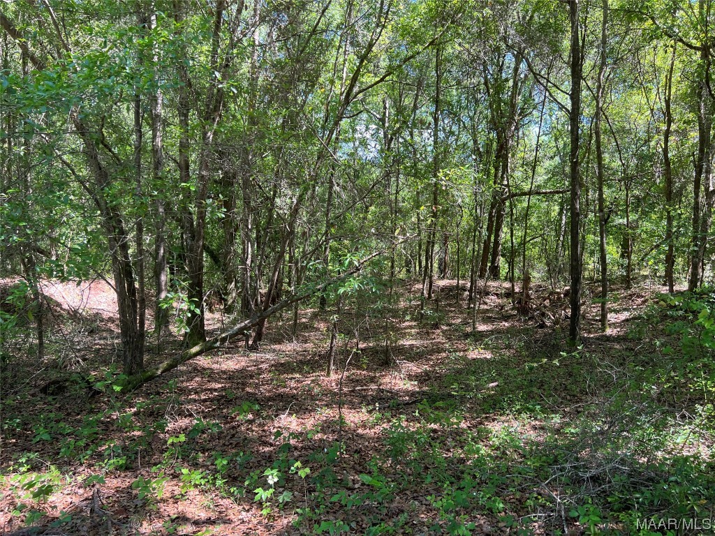 23.79 County Road 41 .