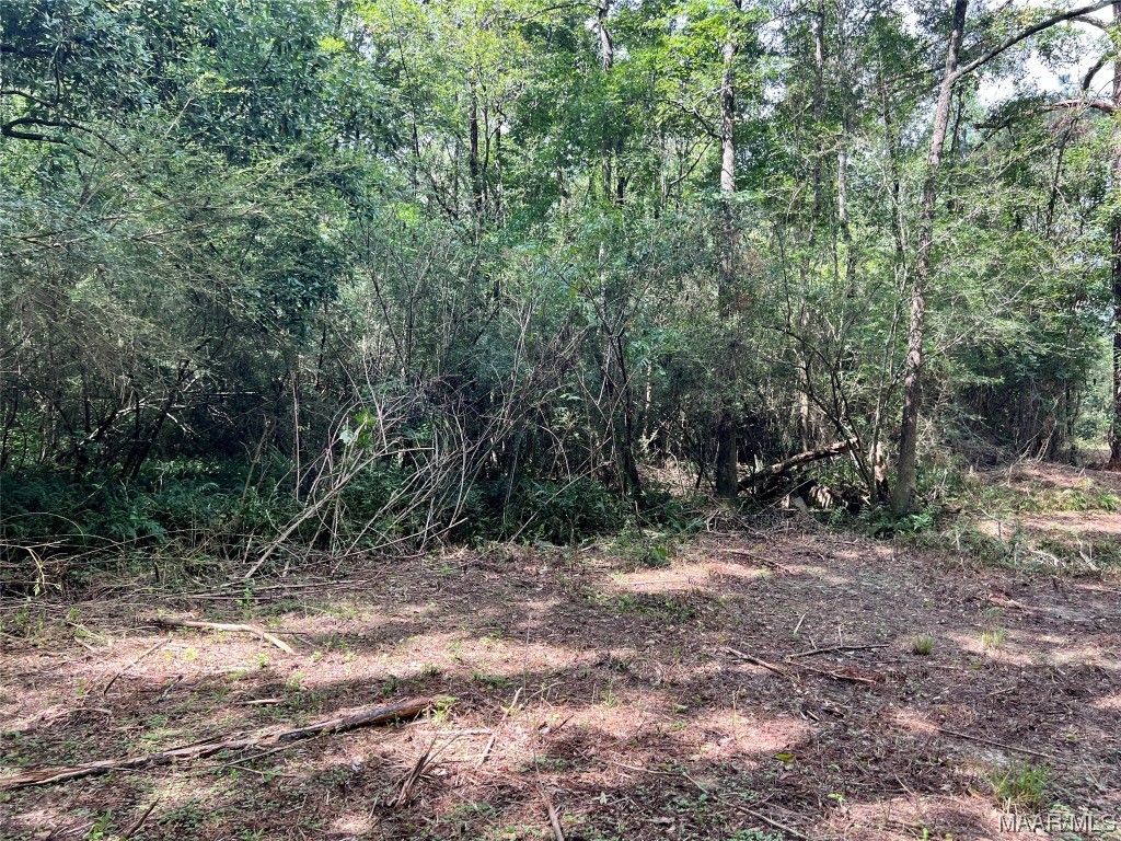 43ac County Rd 4 .