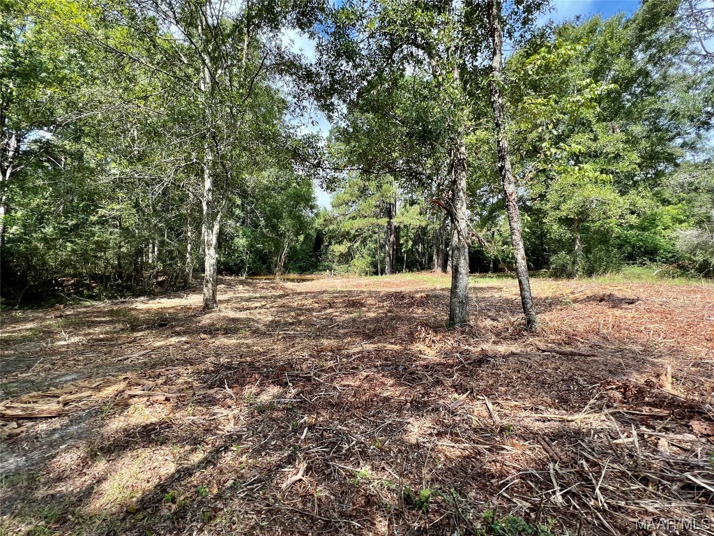43ac County Rd 4 .