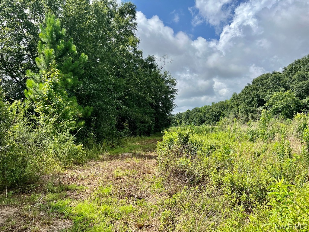 43ac County Rd 4 .