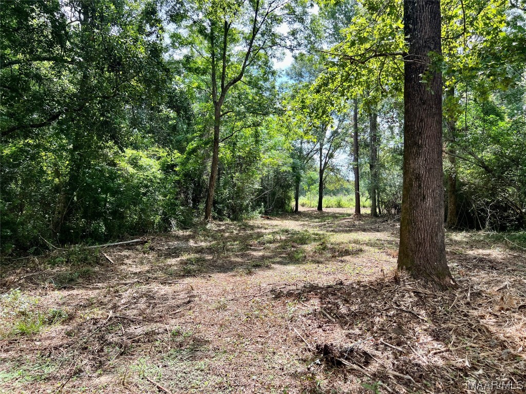 43ac County Rd 4 .