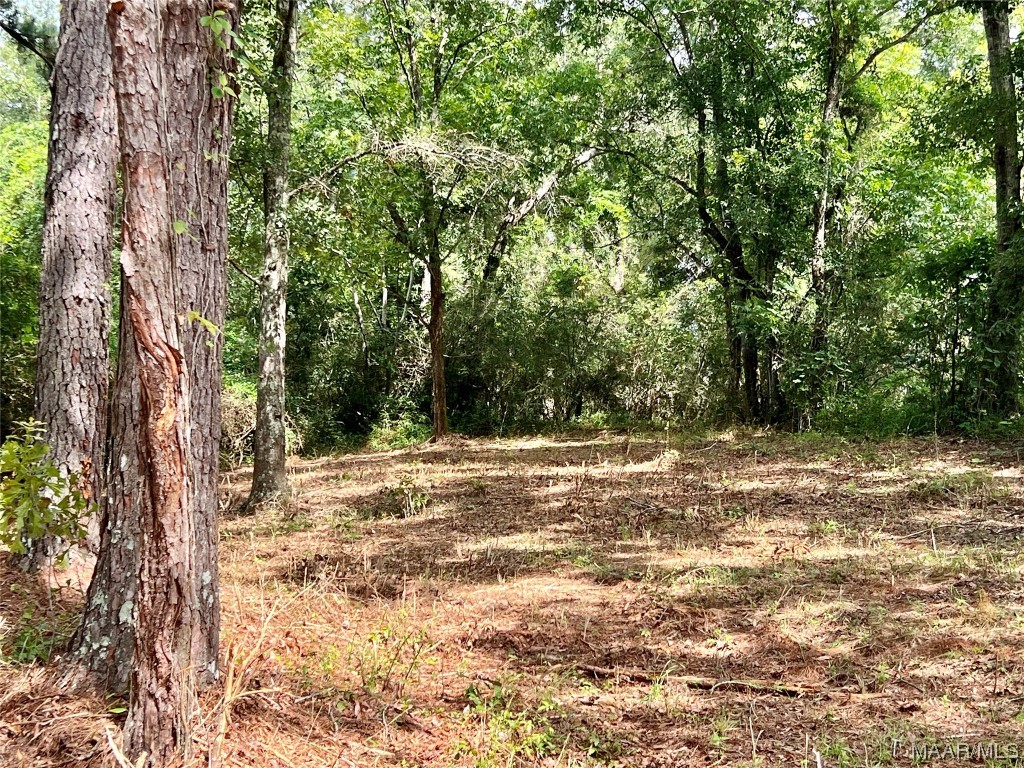 43ac County Rd 4 .