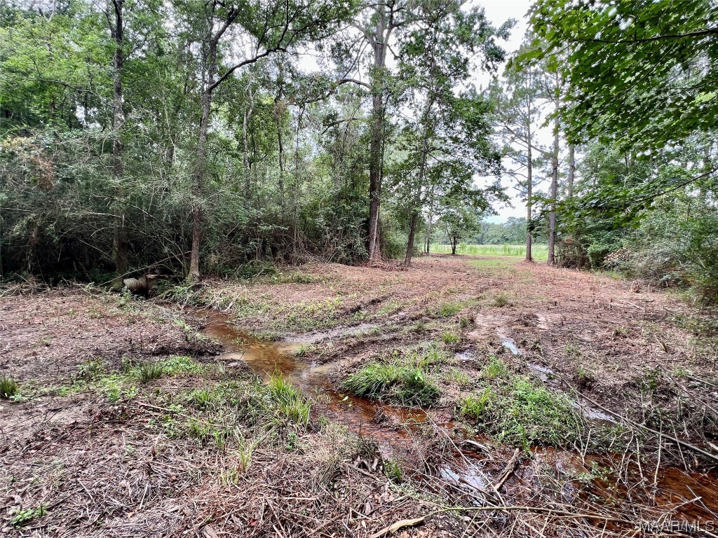 43ac County Rd 4 .