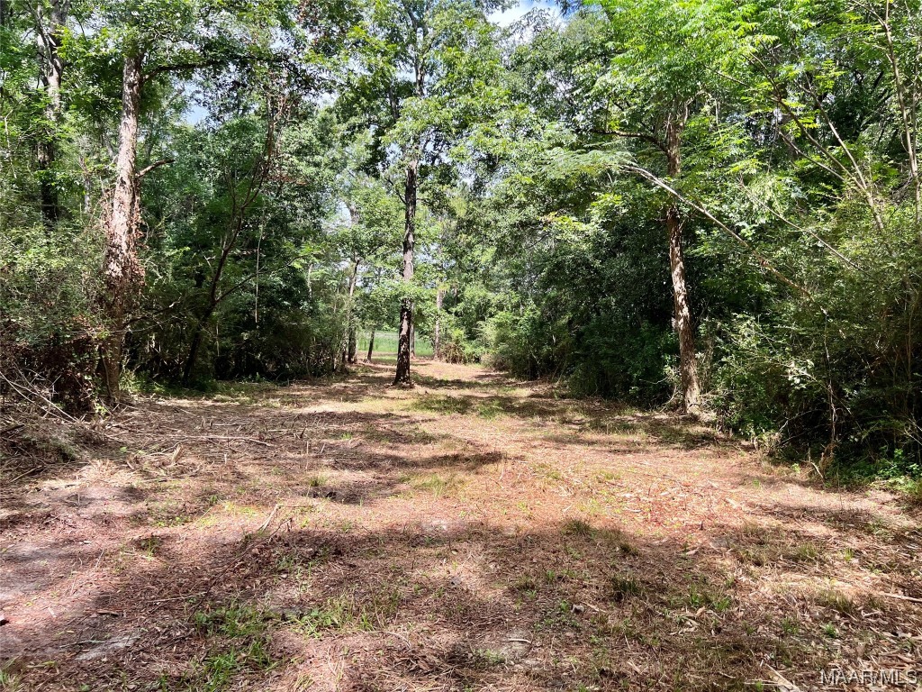 43ac County Rd 4 .