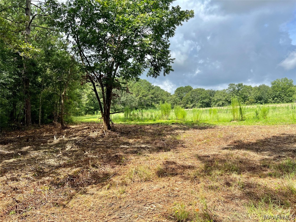 43ac County Rd 4 .