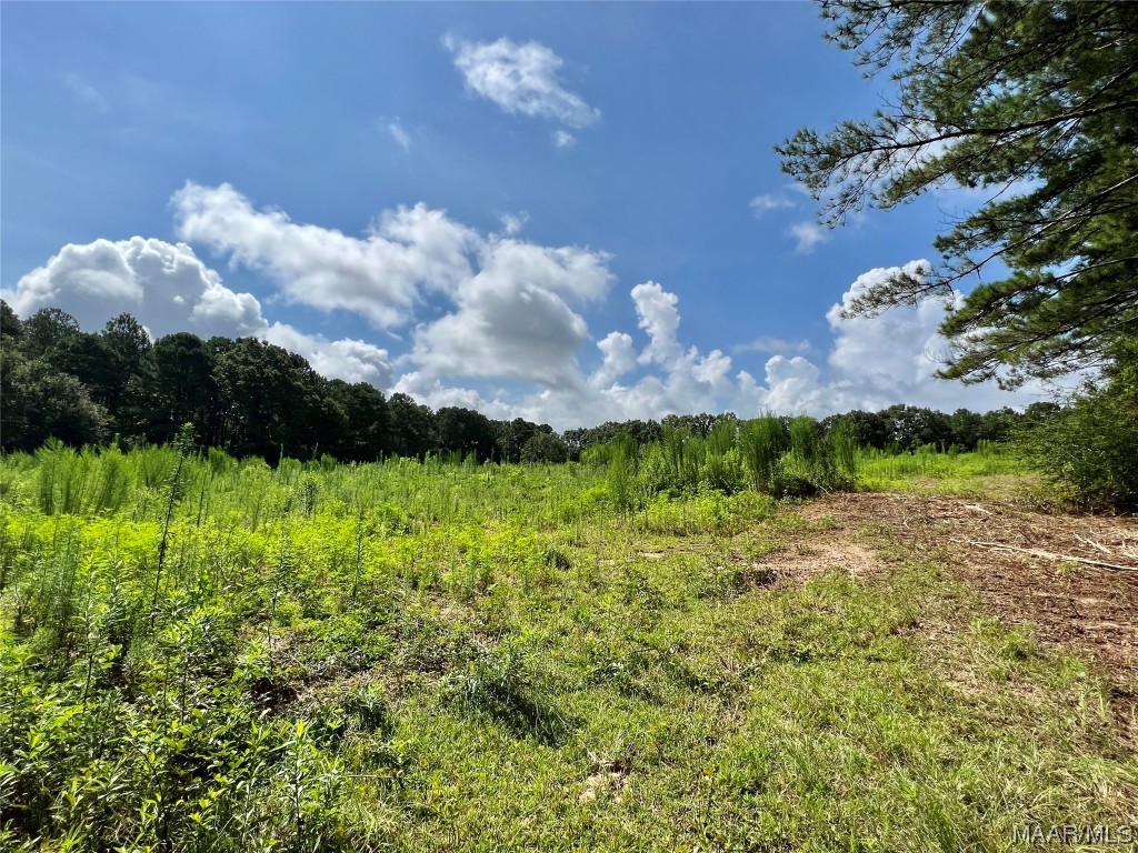 43ac County Rd 4 .