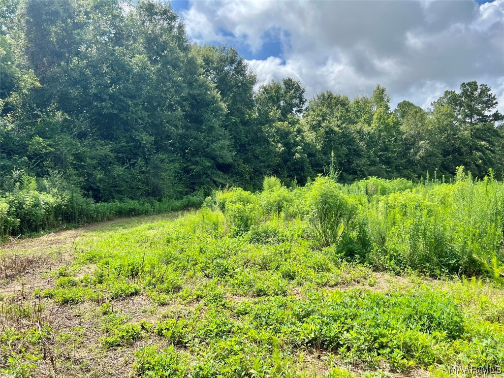 43ac County Rd 4 .