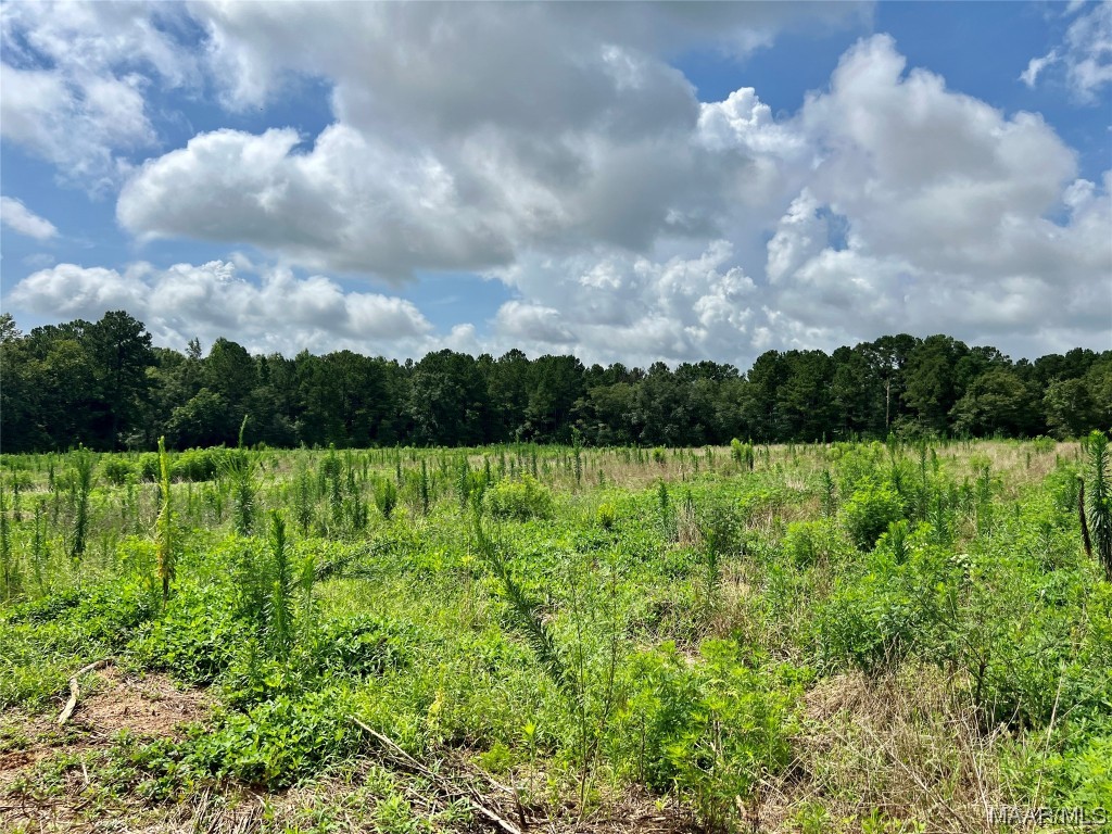 43ac County Rd 4 .