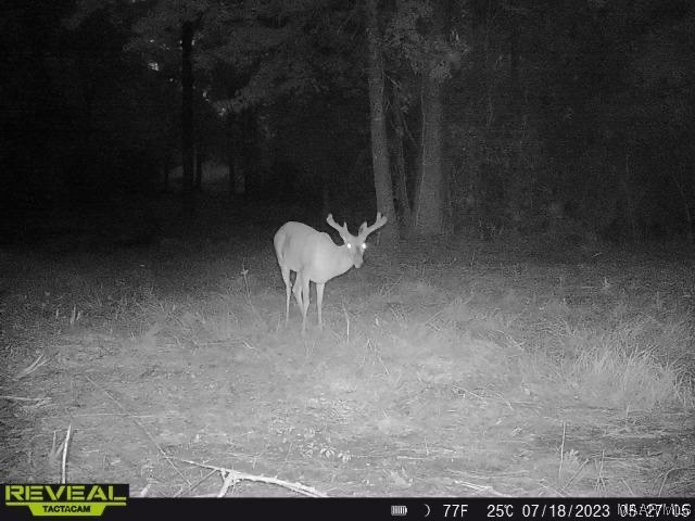 43ac County Rd 4 .