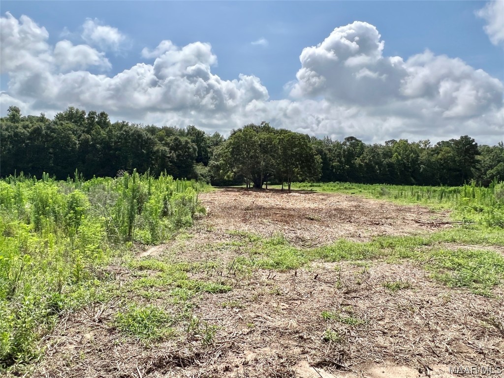 43ac County Rd 4 .
