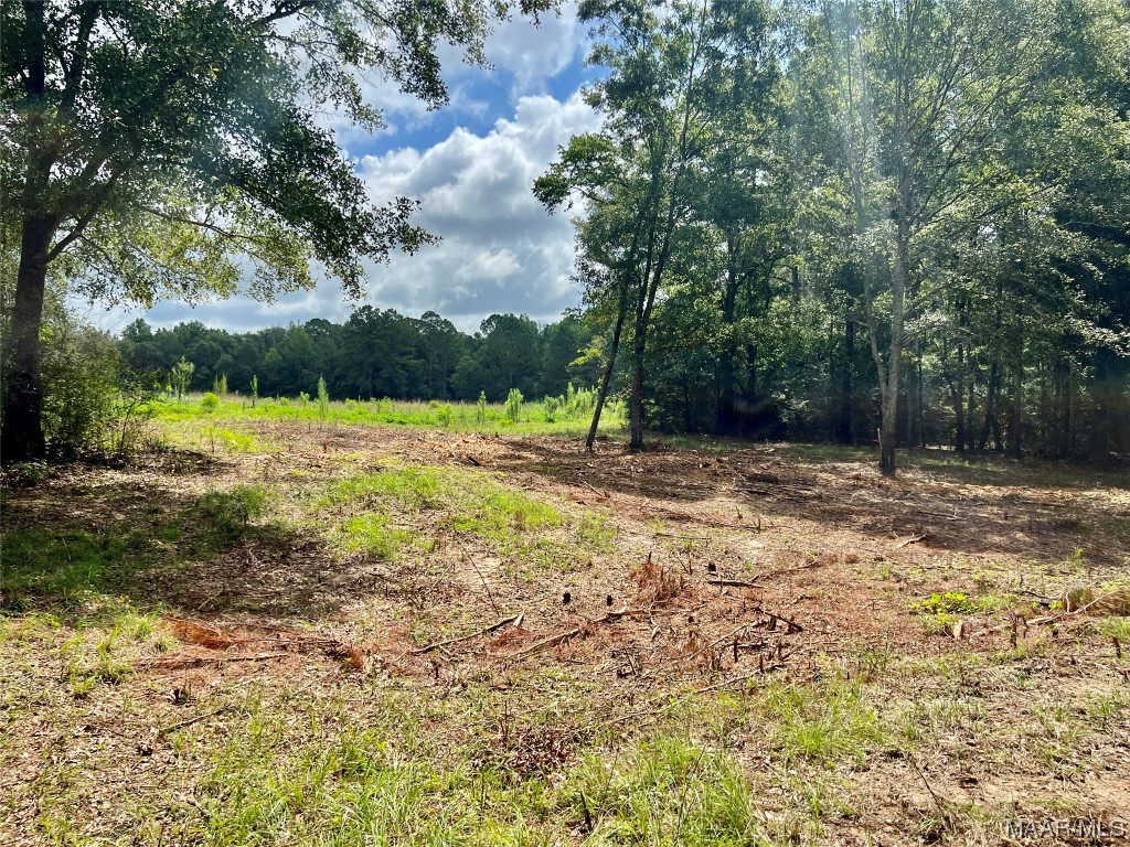 43ac County Rd 4 .