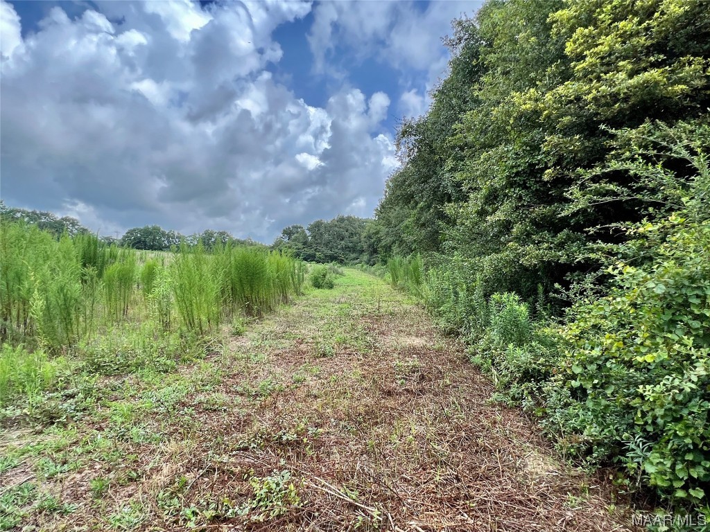 43ac County Rd 4 .
