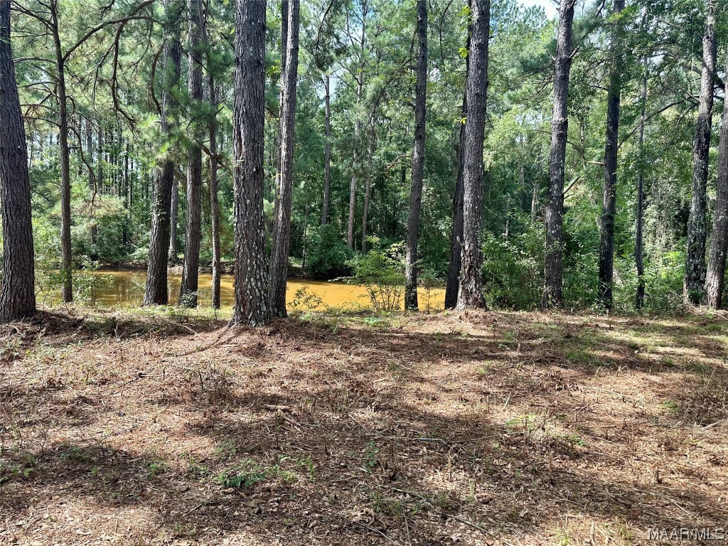 43ac County Rd 4 .