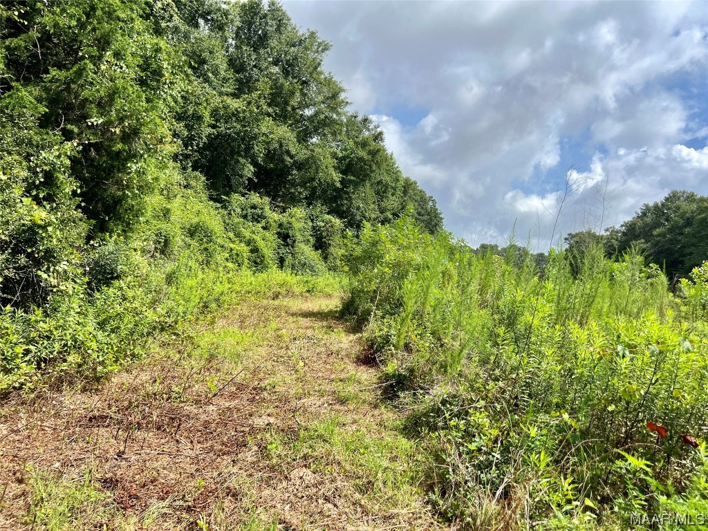 43ac County Rd 4 .