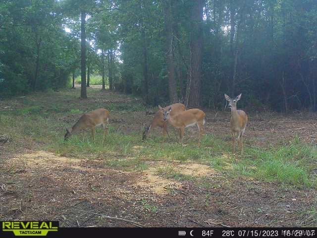 43ac County Rd 4 .