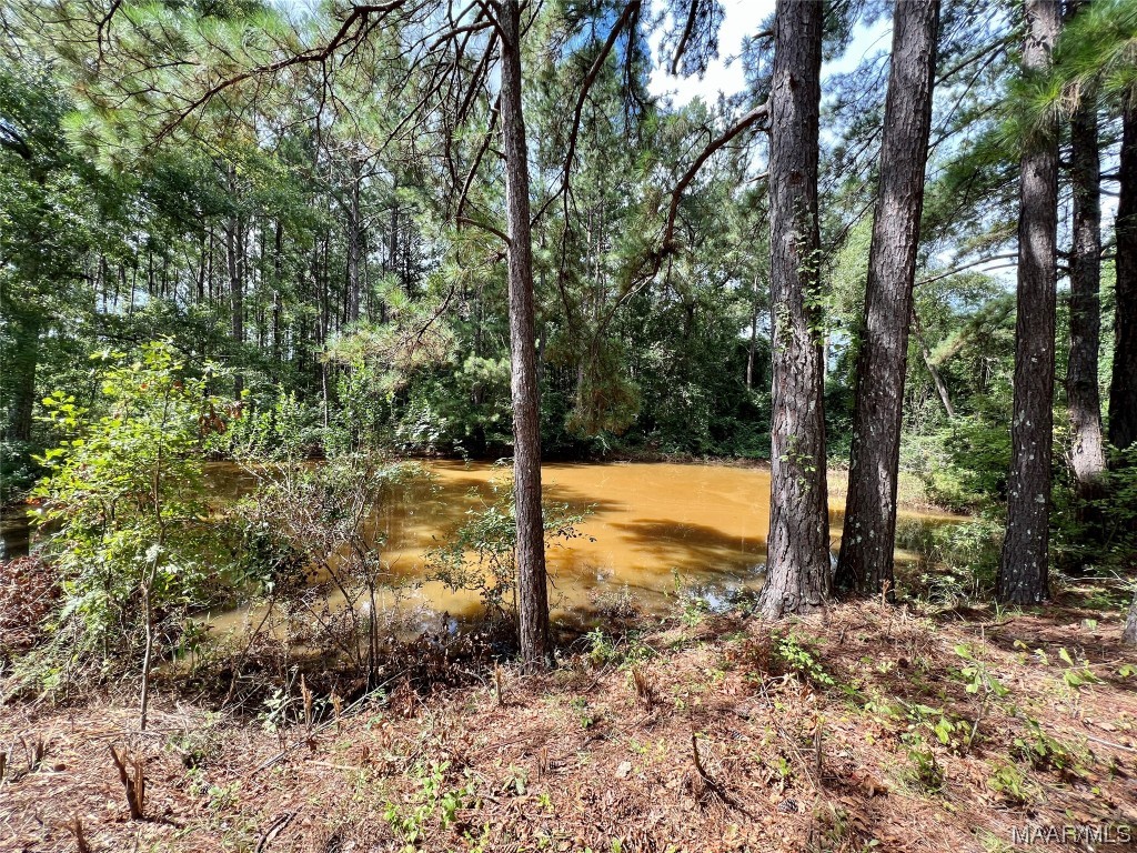 43ac County Rd 4 .