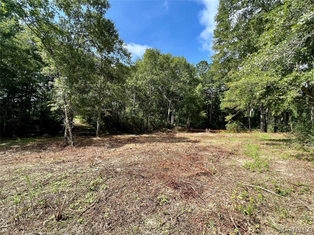 43ac County Rd 4 .