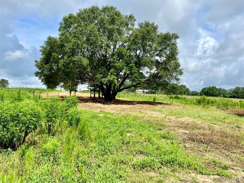43ac County Rd 4 .