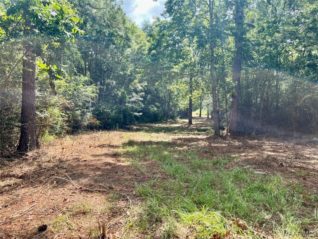43ac County Rd 4 .