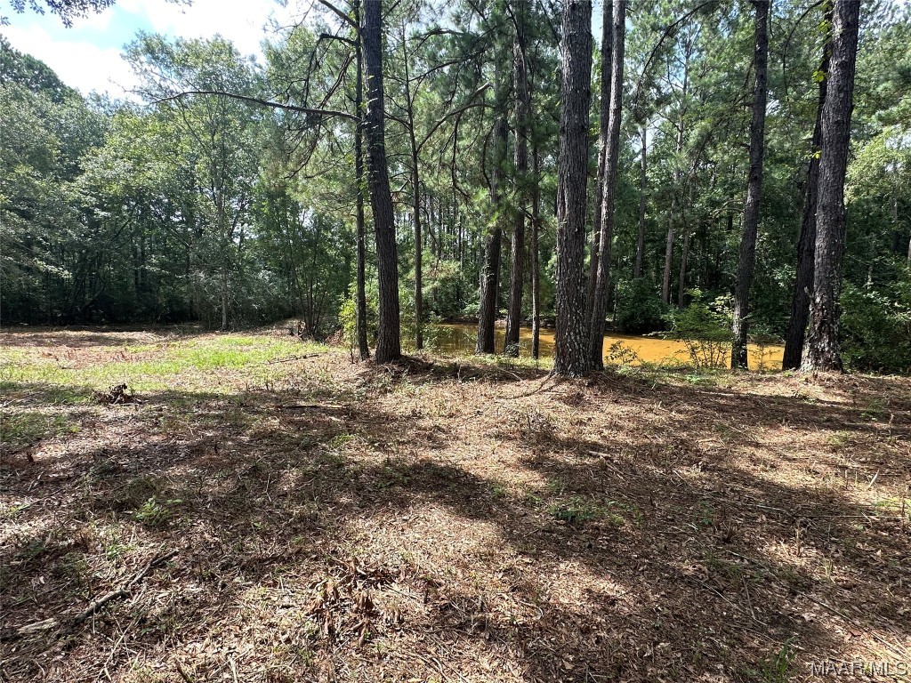 43ac County Rd 4 .