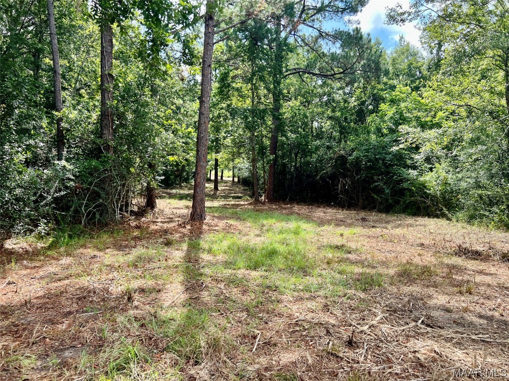 43ac County Rd 4 .