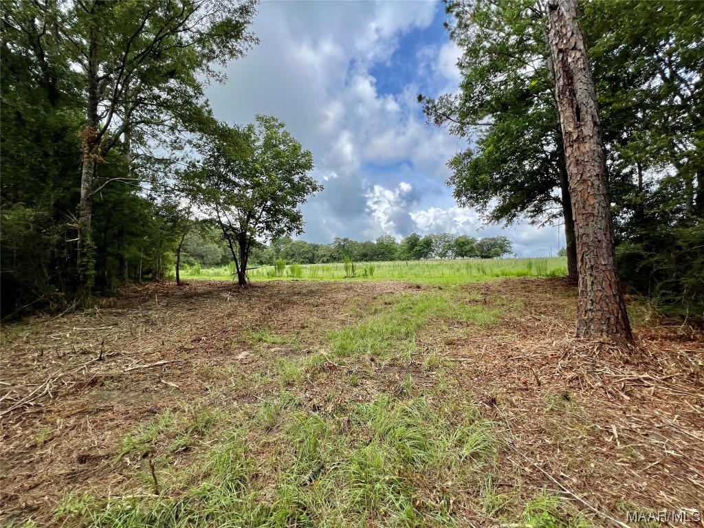 43ac County Rd 4 .