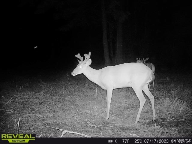 43ac County Rd 4 .